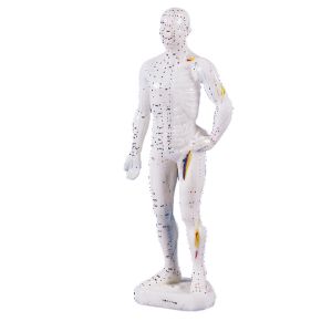 Chinees acupunctuurfiguur, mannelijk, 26 cm