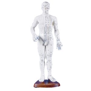 Chinees acupunctuurfiguur, mannelijk, 50 cm