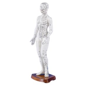 Chinees acupunctuurfiguur, vrouwelijk, 50 cm