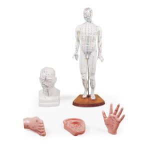 Chinese acupunctuurset, 5 modellen
