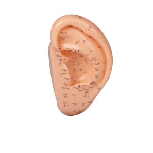 Acupunctuuroor, 22 cm