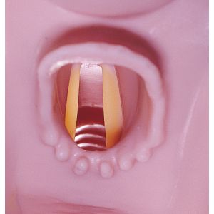 Airway Larry luchtwegtrainer voor R 10052