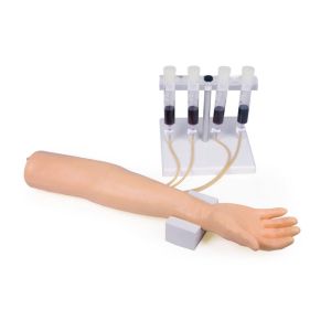 Trainingsarm voor intraveneuze injectie en infusie