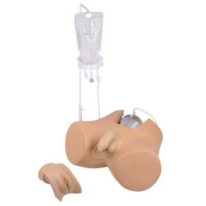 Katheterisatietrainer met inzetstukken (m+v)