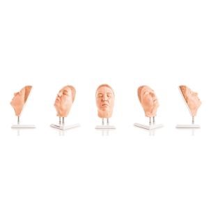 Hoofd voor gezichtsinjecties, versie G