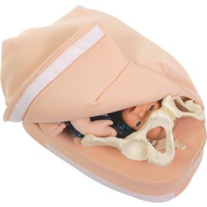 Abdominale Palpatie Modelset