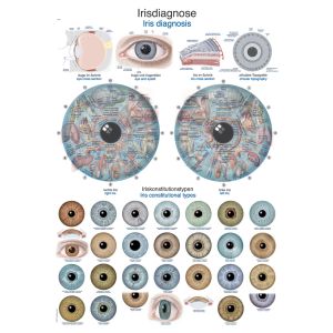 Irisdiagnose poster, 50 x 70 cm