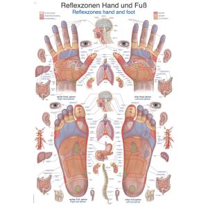 Reflexzones poster "Hand en voet", 50 x 70 cm