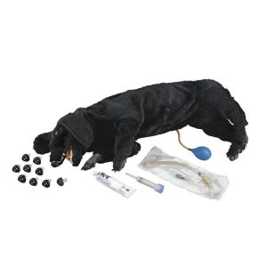 Basis Sanitaire CPR Hond