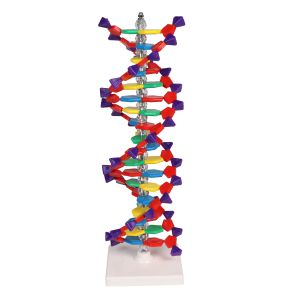 Dubbele DNA-helix