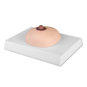 Palpatiemodel voor borstkanker