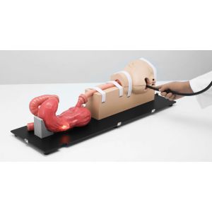 EGD-simulator (EsophagoGastroDuodenoscopie).