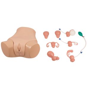 Gynaecologische onderzoekssimulator