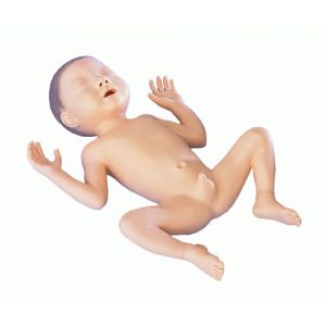 Model voor premature baby's, jongen van 30 weken oud