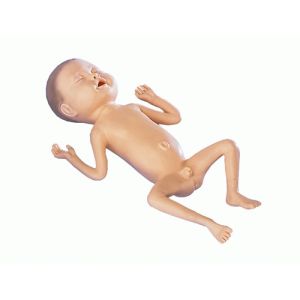 Model voor premature baby's, jongen van 24 weken oud