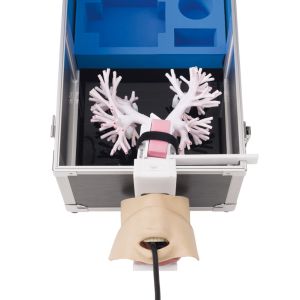 Ultrasone bronchoscopiesimulator