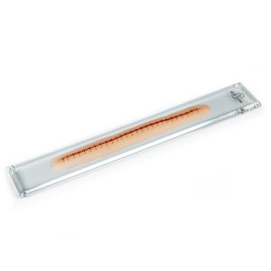 Chirurgische wond met nietjes, 22 cm