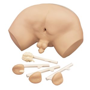Prostaatonderzoeksimulator