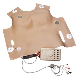 Borsthuid voor defibrillatie voor R 10052