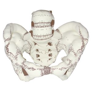 Doek bekken