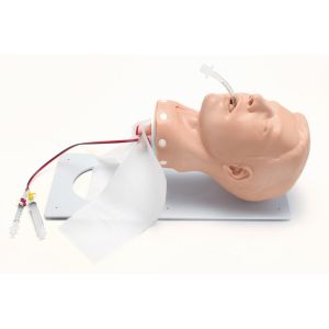 Deluxe luchtwegmanagementtrainer voor volwassenen