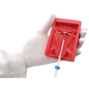 IUD-trainer