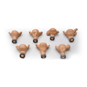 Set van zeven baarmoeders voor R 10183