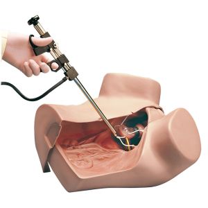 Gynaecologische simulator