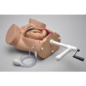 OB Susie geavanceerde bevallingssimulator (torso)