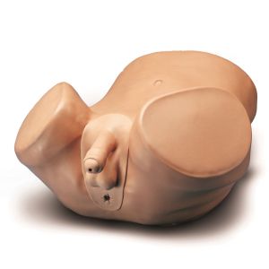 Prostaatonderzoek-vaardigheidstrainer met 4 modules
