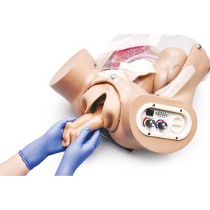 Geavanceerde geboortetorso
