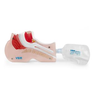 Airway View demonstratiemodel larynxtube