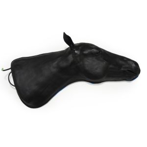 Paardensimulator 1.0