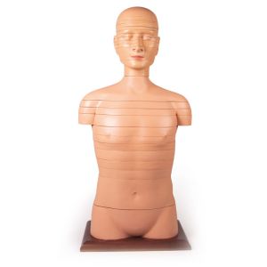 Schijftorso, natuurlijke maat