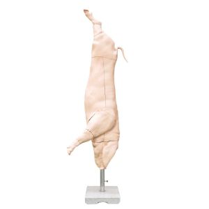 Model half varkenskarkas, ware grootte
