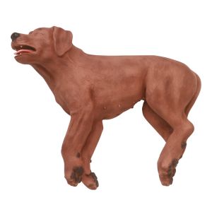 Reanimatiehond CasPer