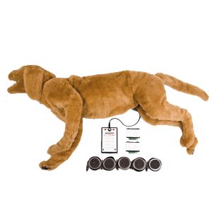Goldie - K 9 Adem-/hartgeluidsimulator