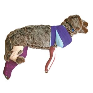 Rufus verbandpop