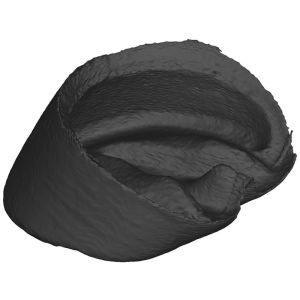 Hoefcapsule