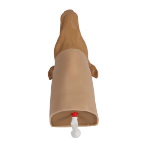 K9 cricothyrotomie-simulator voor de hond