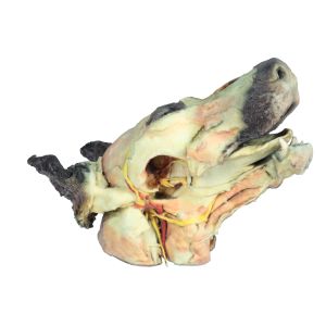 Hondenkop, oppervlakkige en diepe dissectie