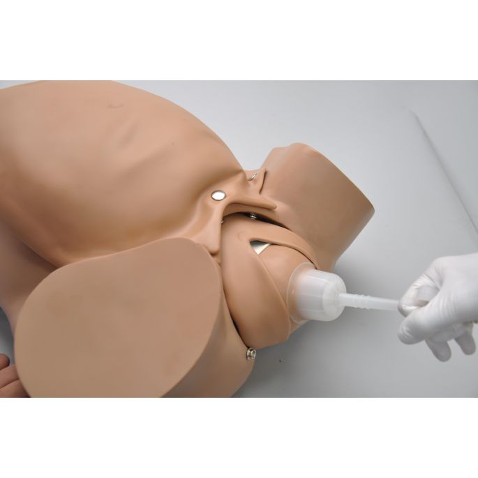 OB Susie geavanceerde bevallingssimulator (torso)