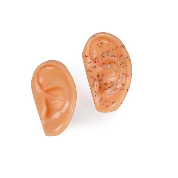 Acupunctuuroren, natuurlijke maat, set van 2 stuks