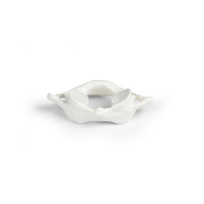 Wervels individueel (C1 t/m L5)