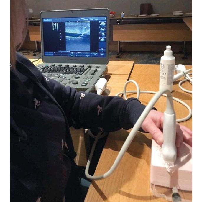 SonoEZ echografietrainer 'Injectie' - afbeelding 8