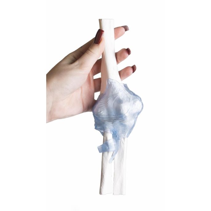 Ellebooggewricht met ligamenten met standaard