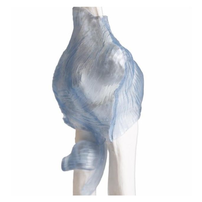 Ellebooggewricht met ligamenten met standaard