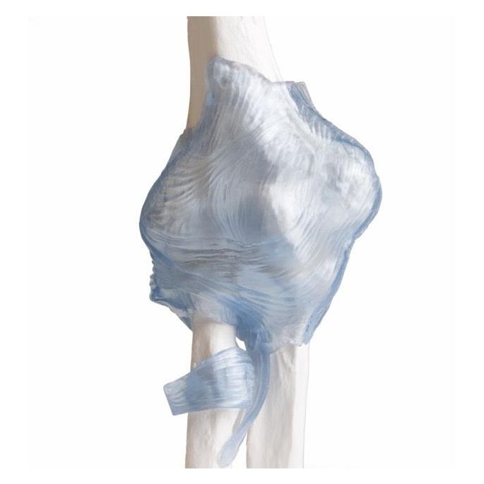 Ellebooggewricht met ligamenten met standaard