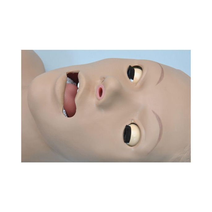 Reanimatievaardigheidstrainer torso