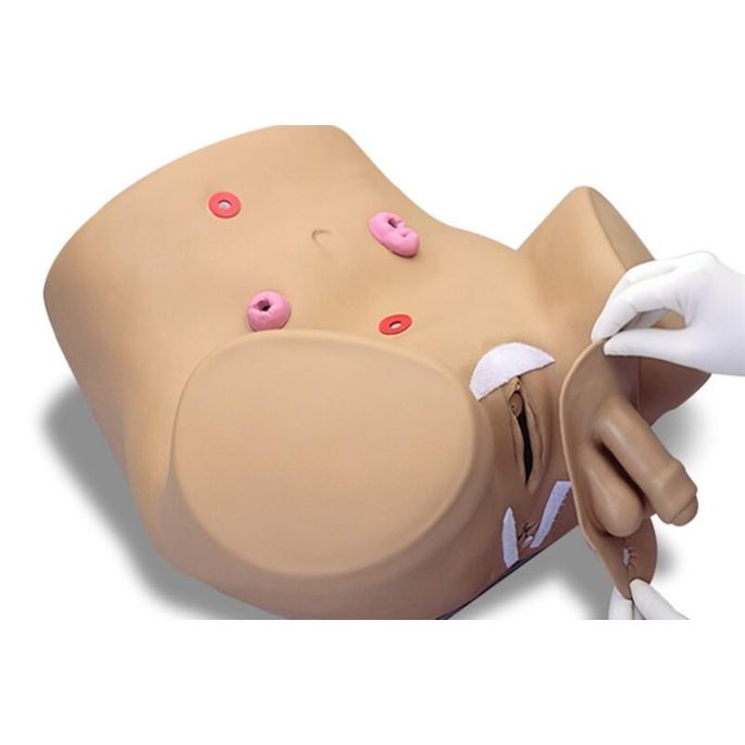 Gev. katheterisatie-/stomazorgsimulator mannelijk/vrouwelijk